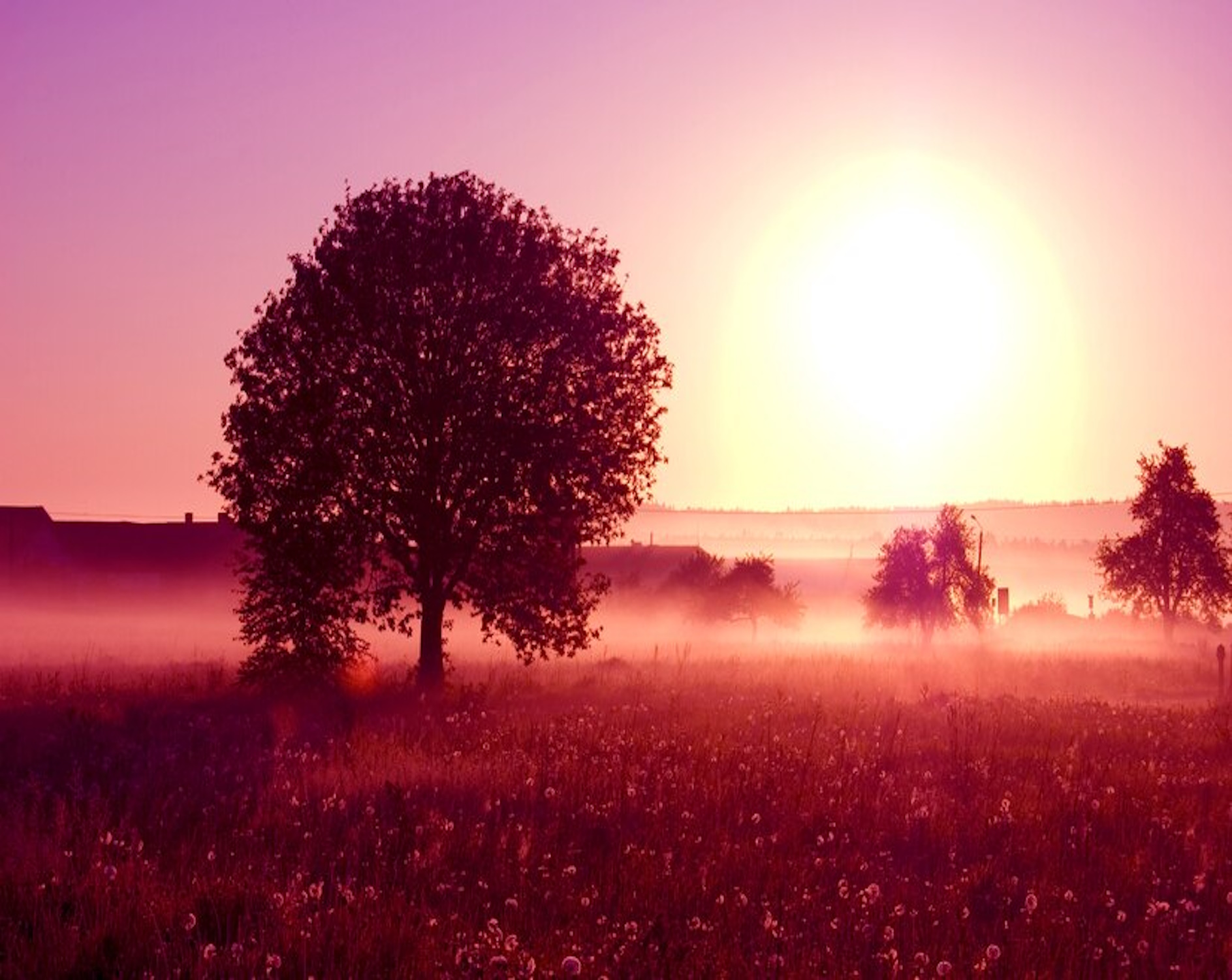 Nature and sunrise